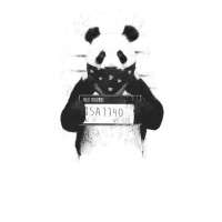 Profile picture for user RPM Panda