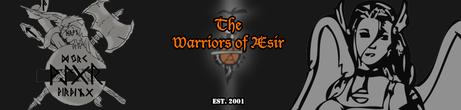 Banner of the Warriors of Æsir