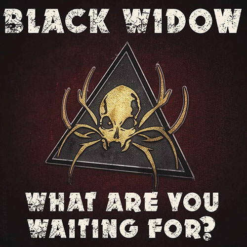 Join Black Widow Today - What Are You Waiting For?