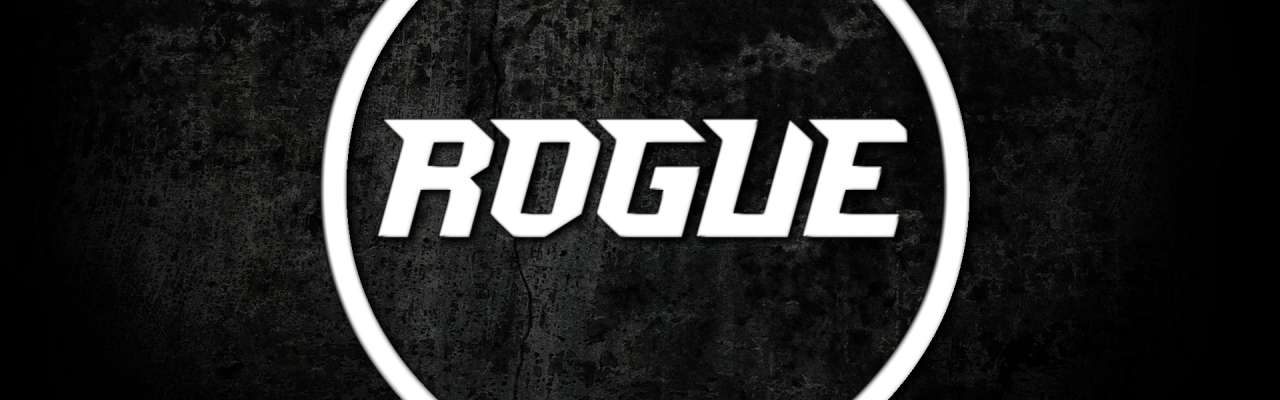 Rogue Clan | Looking For Clan