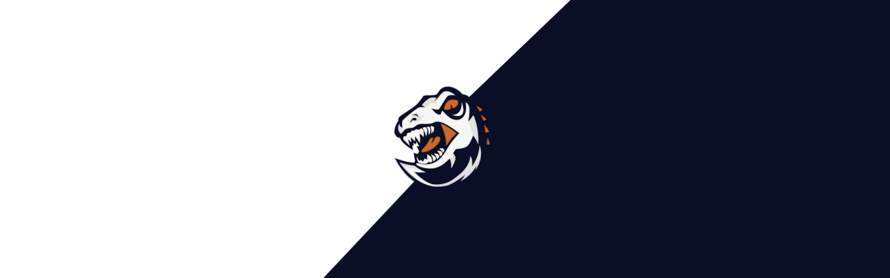 Team Exotic | Looking For Clan