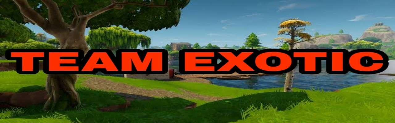 Team Exotic | Looking For Clan