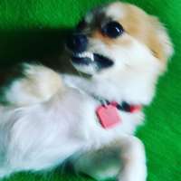 Profile picture for user moistcrevace