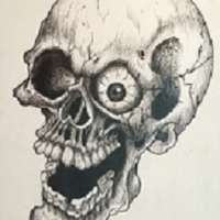 Profile picture for user SkullCracker