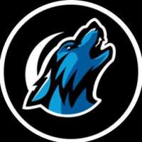 Profile picture for user Clutch Wolves