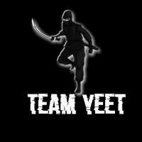Profile picture for user Team Yeet