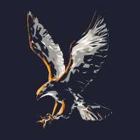Profile picture for user Hawkobo
