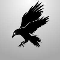 Profile picture for user Vulcan.SR