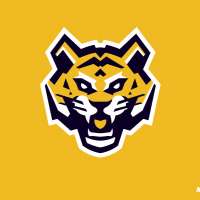 Profile picture for user KryptonEsports