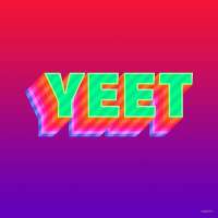 Profile picture for user team-YEET