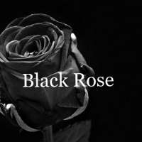 Recruitment For The Black Rose Gaming Clan Looking For Clan - rose hub roblox discord server