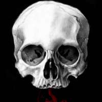Profile picture for user Tanrock22