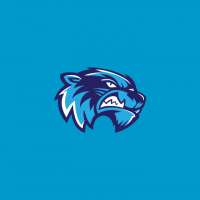Profile picture for user Achronix_clan_esports