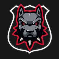 Profile picture for user Underdogs Community Gaming