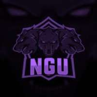 Profile picture for user Team NGU