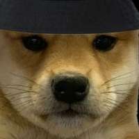 Profile picture for user Kausinghavok