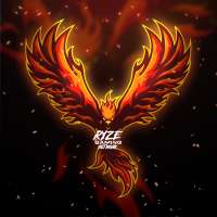 Profile picture for user RYZE Gaming Network