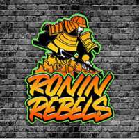 Profile picture for user RoninxRebelsGG
