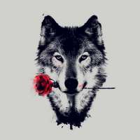 header icon