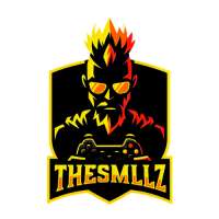 Profile picture for user TheSmllz